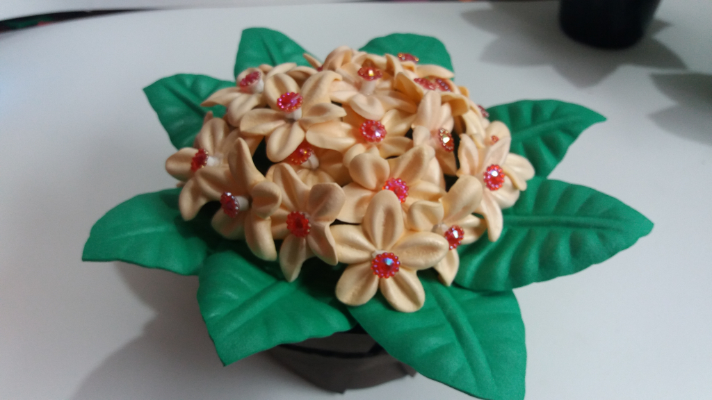 Aula 1 - Lembrancinha EVA